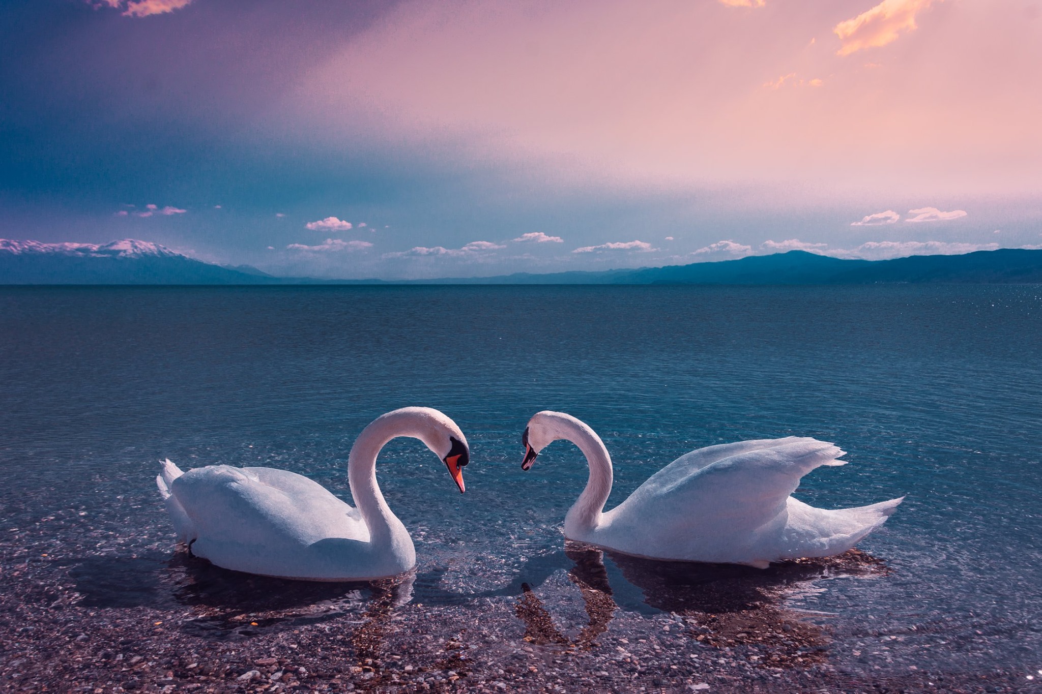 Struga Half Marathon "Around the Lake"