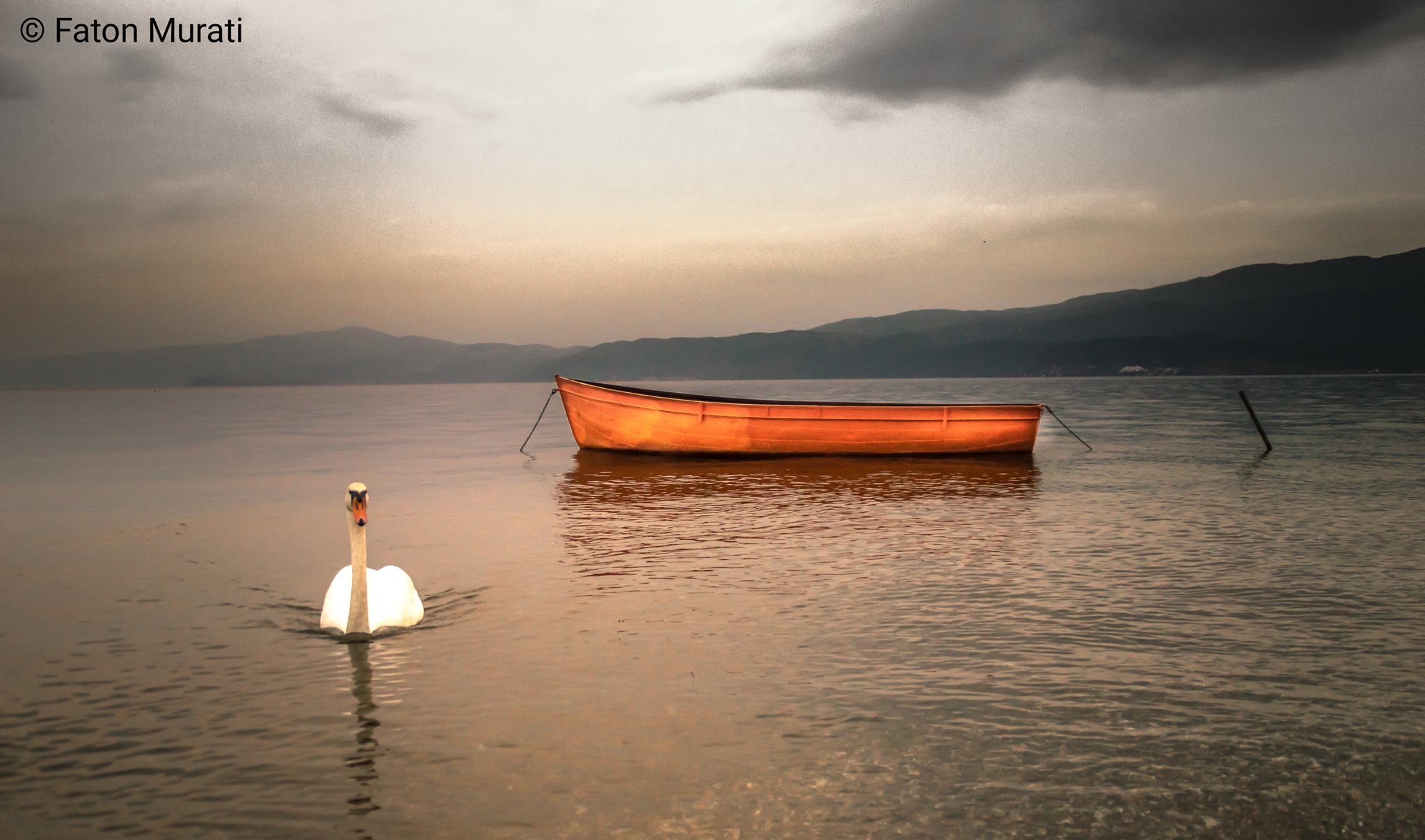 Ohrid–Struga Lake Swimming Marathon